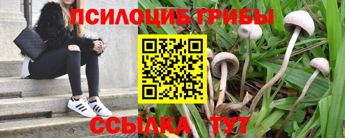Галлюциногенные грибы ЛСД  закладки  Керчь  Вход с VPN 
